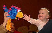 bird1.jpg