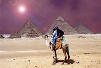 me and camel