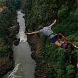 bungy.jpg